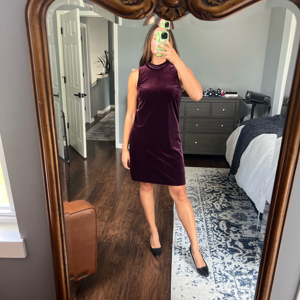 Plum Velvet Dress - Picture 2 of 12